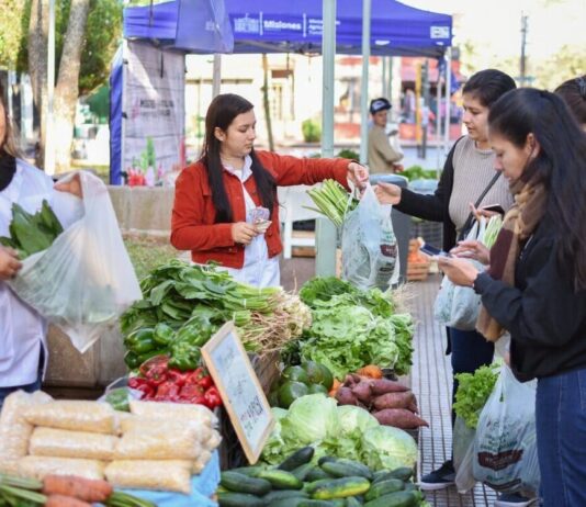 Índice de Precios de Ferias Francas | Julio 2023