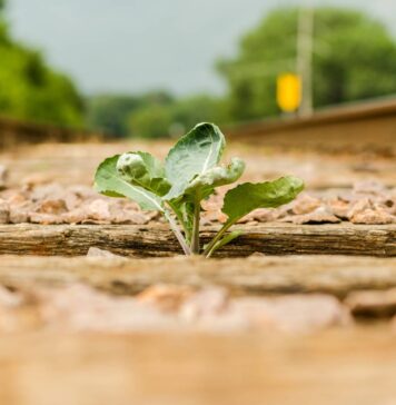 Se lanza el nuevo Índice de Resiliencia Económica y Progreso Social de Misiones