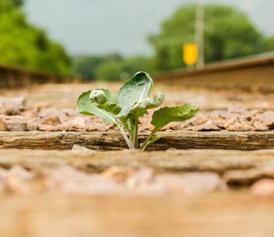 Se lanza el nuevo Índice de Resiliencia Económica y Progreso Social de Misiones