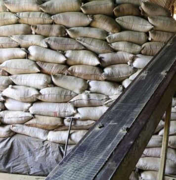 Exportaciones de Misiones | 1° Semestre 2023