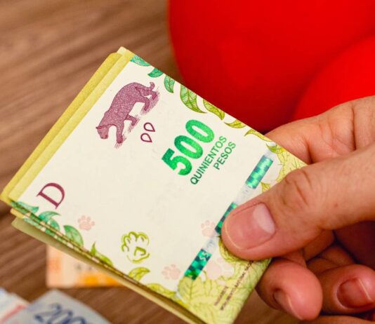 Índice de Precios al Consumidor | Región NEA: Agosto 2023