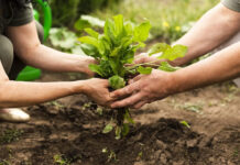 Nueva encuesta para medir el Producto Bruto de Misiones