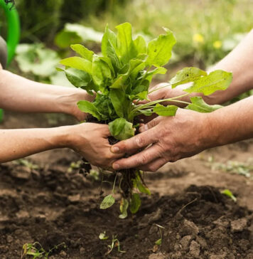 Nueva encuesta para medir el Producto Bruto de Misiones