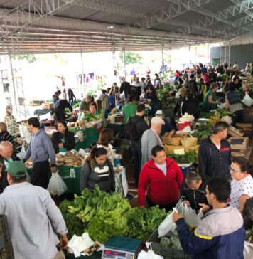 Índice de Precios de Ferias Francas | Septiembre 2023