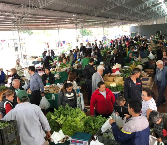 Índice de Precios de Ferias Francas | Septiembre 2023