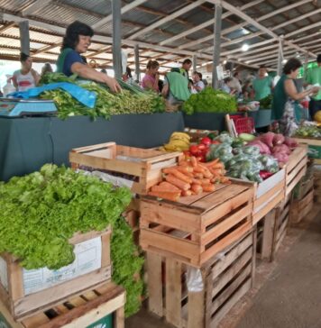 Índice de Precios de Ferias Francas | Octubre 2023