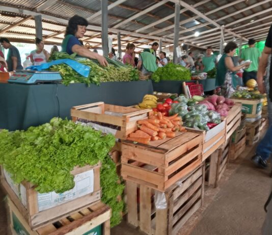 Índice de Precios de Ferias Francas | Octubre 2023