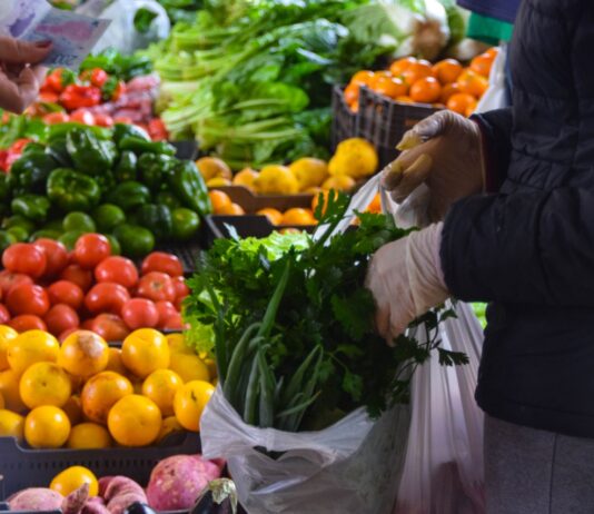 Índice de Precios de Ferias Francas | Noviembre 2023