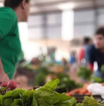 Índice de Precios de Ferias Francas | Enero 2024