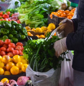 Nuevo aplicativo online calcula la diferencia de precios entre ferias francas, despensas y supermercados