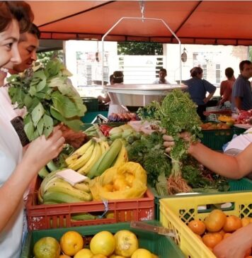 Índice de Precios de Ferias Francas | Marzo 2024