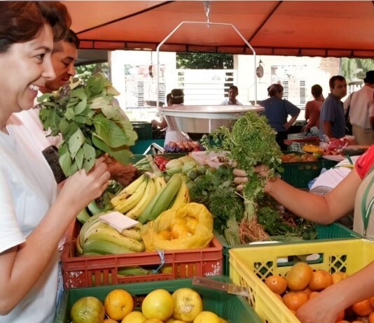 Índice de Precios de Ferias Francas | Marzo 2024