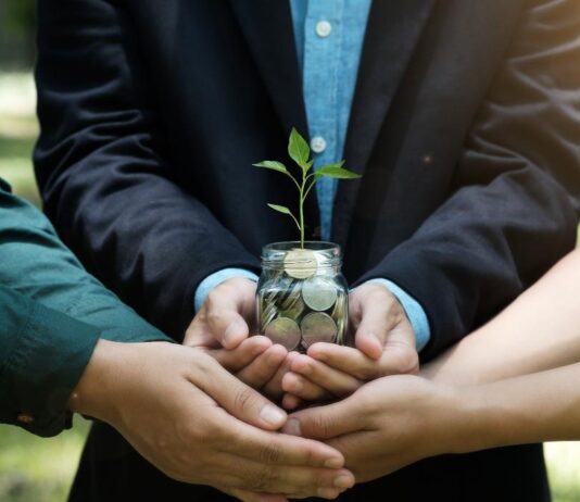 Economía Ambiental y Capital Natural de Misiones