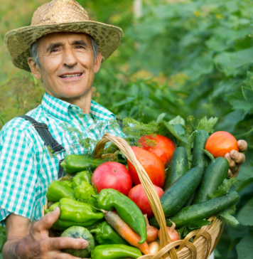 Índice de Precios de Ferias Francas | Mayo 2024