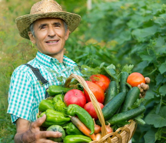 Índice de Precios de Ferias Francas | Mayo 2024