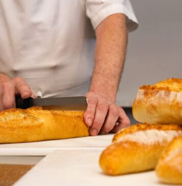 Informe ampliado del mercado laboral en Gran Posadas | 4° Trim. 2023