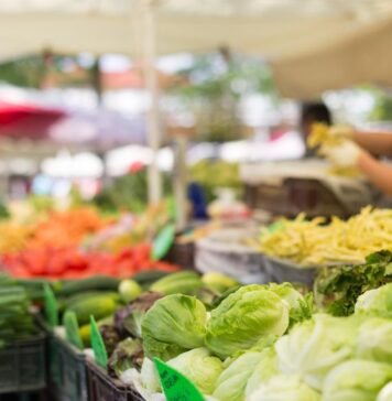 Índice de Precios de Ferias Francas | Julio 2024