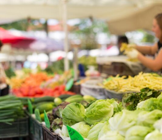 Índice de Precios de Ferias Francas | Julio 2024