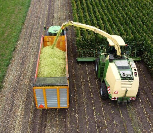 Exportaciones de Misiones | 1° Semestre 2024