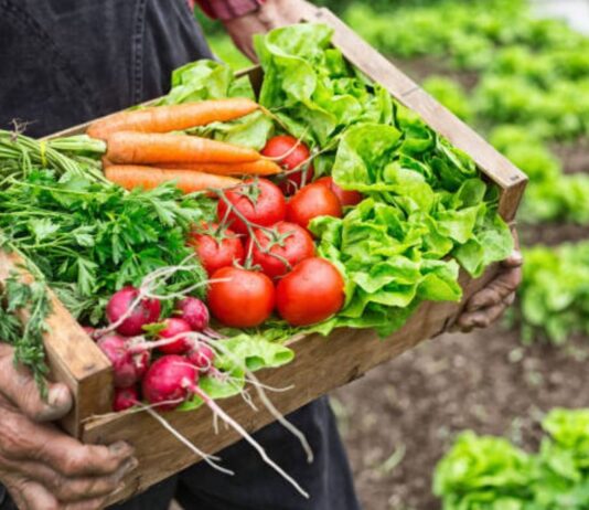 Índice de Precios de Ferias Francas | Agosto 2024