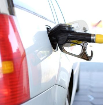 Índice de Precios al Consumidor | Región NEA: Agosto 2024