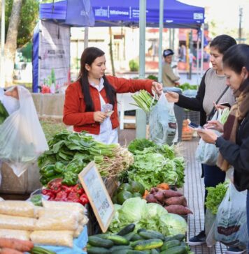 Índice de Precios de Ferias Francas | Septiembre 2024