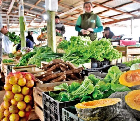 Índice de Precios de Ferias Francas | Noviembre 2024