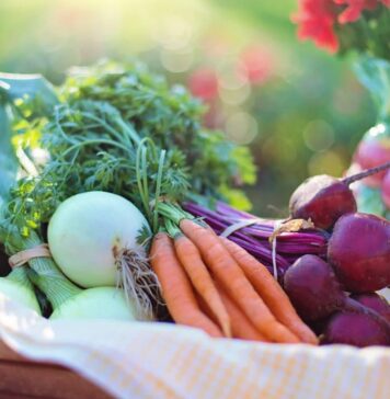 Índice de Precios de Ferias Francas | Enero 2025