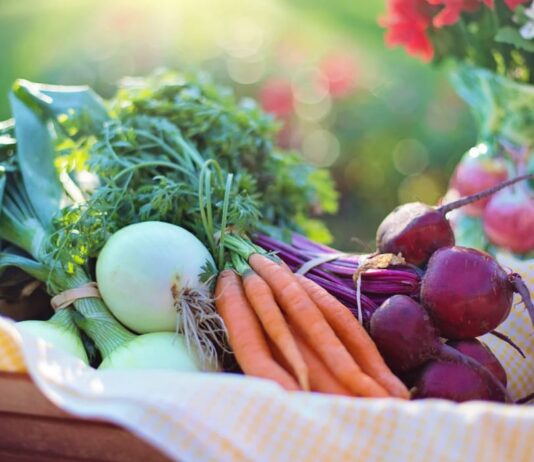 Índice de Precios de Ferias Francas | Enero 2025