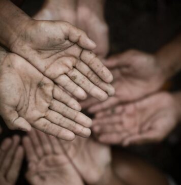 Pobreza e Indigencia Multicausal | 3° Trimestre 2024