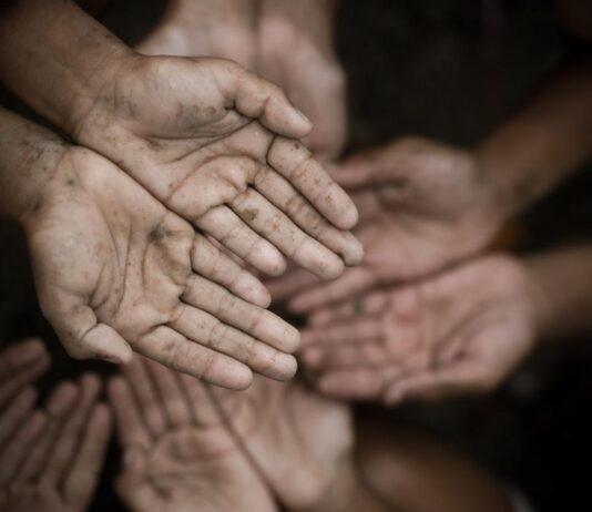 Pobreza e Indigencia Multicausal | 3° Trimestre 2024