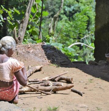 Línea de pobreza e indigencia en Gran Posadas | 1° Semestre 2024