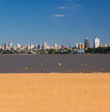 Pobreza e Indigencia Multicausal | 1° Trimestre 2024