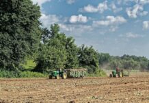 Exportaciones de Misiones | 1° Semestre 2025