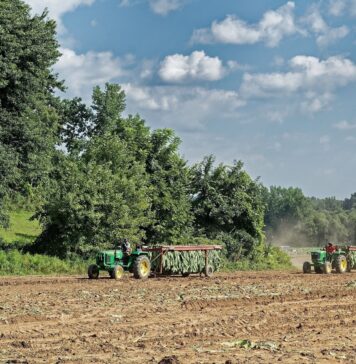 Exportaciones de Misiones | 1° Semestre 2025