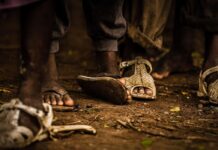 Pobreza e Indigencia Multicausal en Misiones | Años 2010 – 2024