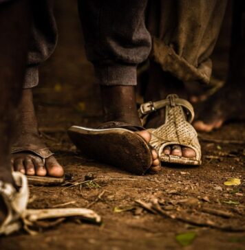 Pobreza e Indigencia Multicausal en Misiones | Años 2010 – 2024