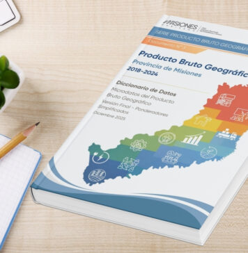 Serie PBG Misiones – Documento N°3: Diccionario de datos y microdatos 2018–2024