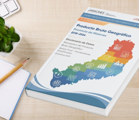 Serie PBG Misiones – Documento N°3: Diccionario de datos y microdatos 2018–2024