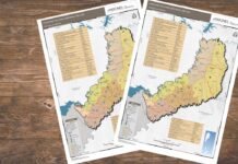 Mapa de hospitales en Misiones por zona sanitaria