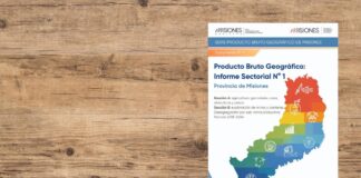 Producto Bruto Geográfico de Misiones: informe sectorial N° 1 (Secciones A y B, período 2018–2024)