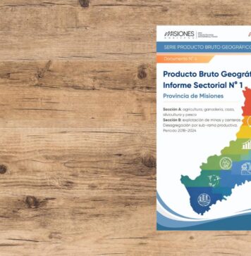 Producto Bruto Geográfico de Misiones: informe sectorial N° 1 (Secciones A y B, período 2018–2024)