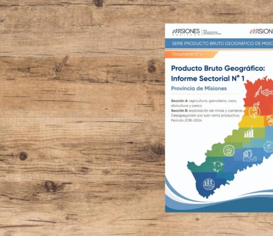 Producto Bruto Geográfico de Misiones: informe sectorial N° 1 (Secciones A y B, período 2018–2024)