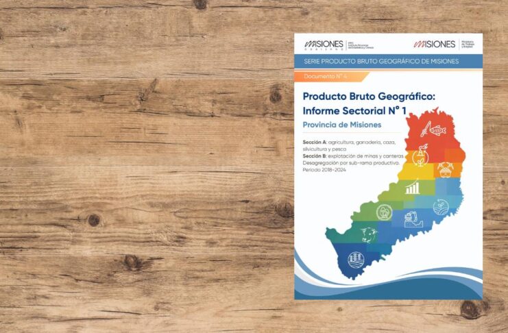 Producto Bruto Geográfico de Misiones: informe sectorial N° 1 (Secciones A y B, período 2018–2024)