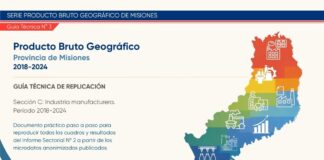 Guía técnica de replicación – Informe sectorial N° 2 del PBG de Misiones: Industria manufacturera (2018–2024)