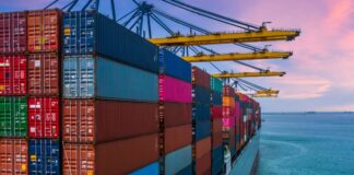 Exportaciones de Misiones | 2025