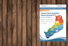 Serie Producto Bruto Geográfico de Misiones – Informe Sectorial N° 2: Industria manufacturera (Sección C), período 2018-2024
