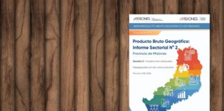 Serie Producto Bruto Geográfico de Misiones – Informe Sectorial N° 2: Industria manufacturera (Sección C), período 2018-2024
