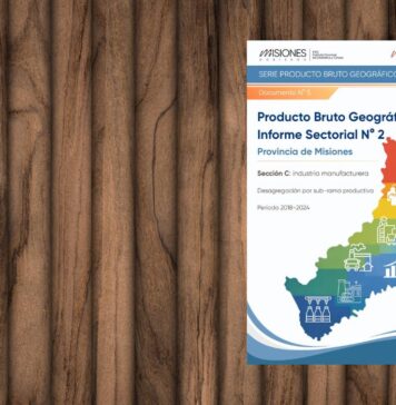 Serie Producto Bruto Geográfico de Misiones – Informe Sectorial N° 2: Industria manufacturera (Sección C), período 2018-2024