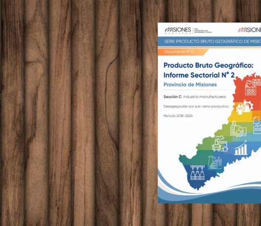 Serie Producto Bruto Geográfico de Misiones – Informe Sectorial N° 2: Industria manufacturera (Sección C), período 2018-2024